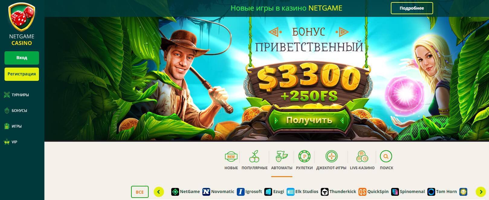 Логотип NetGame